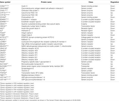 Transcriptional Regulation of Drug Metabolizing CYP Enzymes by Proinflammatory Wnt5A Signaling in Human Coronary Artery Endothelial Cells